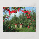 Recherche de fruits rouges cartes postales Verger