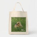 Recherche de ornithologie sacs Oiseaux et fleurs