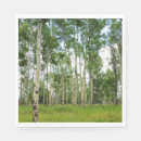 Recherche de bouleau serviettes Forêt