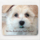 Recherche de humour dentiste tapis souris Dentaire