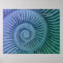 Recherche de fossiles art Nature