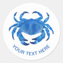 Recherche de crustacés autocollants Plage