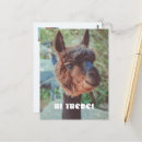 Recherche de bruns cartes postales Pour enfants
