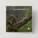 Recherche de faucon badges Faune