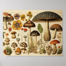 Recherche de meubles art Antique