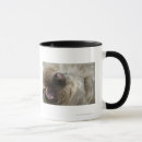 Recherche de inclinaison tasses Horizontal