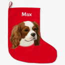 Recherche de roi charles chaussette de noël Cavalier