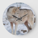 Recherche de loup gris horloges Amoureux des animaux