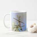 Recherche de mantis tasses Entomologie