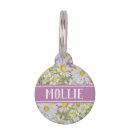 Recherche de white daisy Rustique
