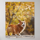 Recherche de gallois art Corgi