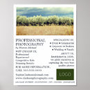 Recherche de olive photographie Photographe
