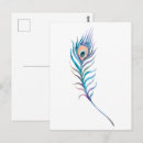 Recherche de plumes de paon cartes postales Bleu