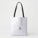 Recherche de araignee sacs Arachnide
