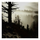 Recherche de mist posters Paysage