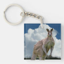 Recherche de kangourou australien porteclés Marsupiaux