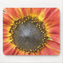 Recherche de tournesol rouge électronique Jaune