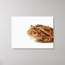 Recherche de vue de c art Animal