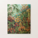 Recherche de der puzzles Ernst haeckel