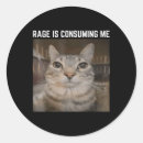 Recherche de rage autocollants Chaton