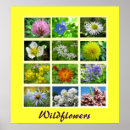 Recherche de horticulture art Nature