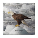 Recherche de tête animale carreaux Oiseau