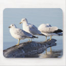 Recherche de mouette tapis souris Côtier
