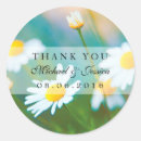 Recherche de marguerite blanche autocollants Floral