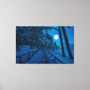 Recherche de paysage neige toiles Nuit