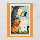 Recherche de oiseau de chat cartes postales Toute personne