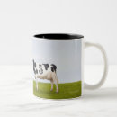 Recherche de vache holstein tasses Dehors