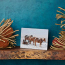 Recherche de cheval islandais plaques Jument