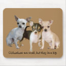 Recherche de soyez un chiwawa tapis souris Chien