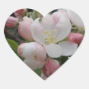 Recherche de coeur rose de fleur Toute personne