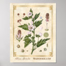Recherche de herbals posters Vintage