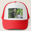 Recherche de grue casquettes Faune