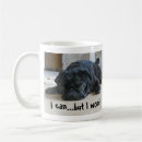 Recherche de carlins drôles tasses Pug