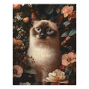 Recherche de de chat siamois posters Pour tous