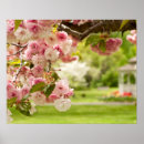 Recherche de pureté posters Environnement