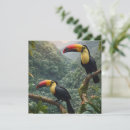 Recherche de toucan invitations Mignon