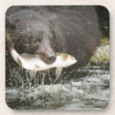 Recherche de comportement maison deco Poisson
