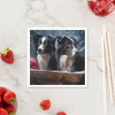 Recherche de border collie serviettes Animal de compagnie