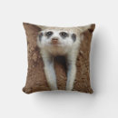 Recherche de suricates coussins Animal