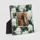 Recherche de classique plaques Moderne