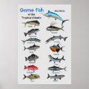 Recherche de gamme posters Nature
