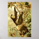 Recherche de perroquet vintage posters Forêt tropicale