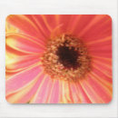 Recherche de gerbera mousepads Floral