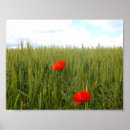 Recherche de oreilles posters Blé