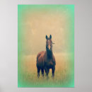 Recherche de étalon posters Cheval