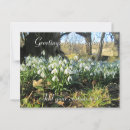 Recherche de snowdrops cartes postales Floral